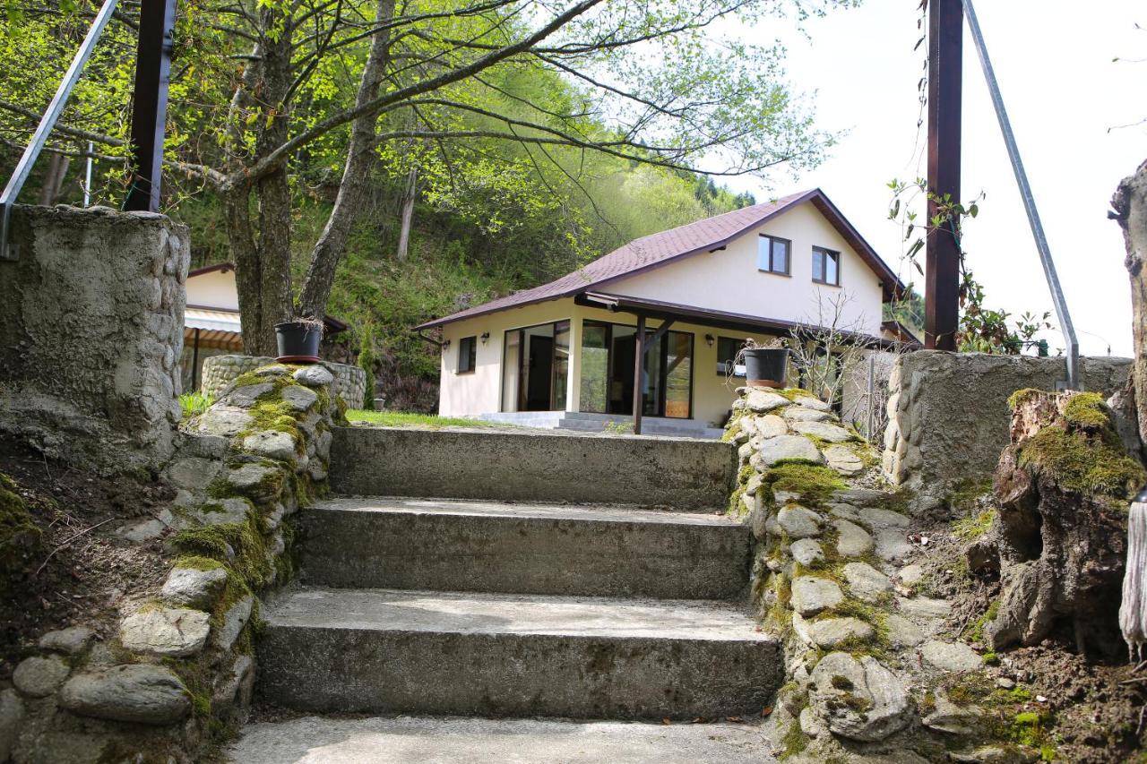 Pensiunea Tudor Breaza Exterior foto